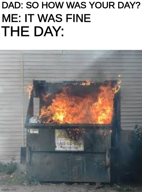 Dumpster Fire | DAD: SO HOW WAS YOUR DAY? ME: IT WAS FINE; THE DAY: | image tagged in dumpster fire,dump trump,disaster girl,back in my day,dad joke dog,creepy condescending wonka | made w/ Imgflip meme maker