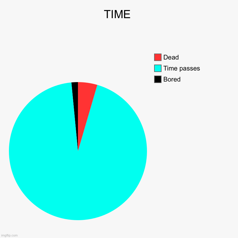 TIME | TIME | Bored, Time passes, Dead | image tagged in charts,pie charts | made w/ Imgflip chart maker