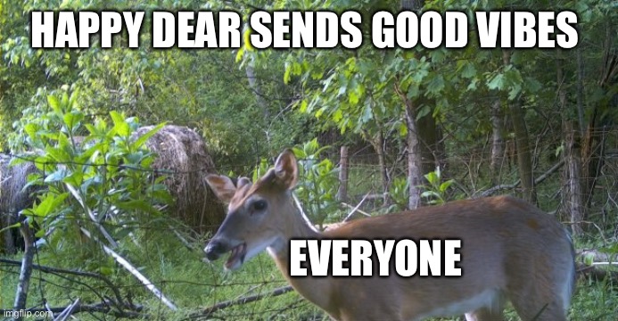 Happy deer | HAPPY DEAR SENDS GOOD VIBES; EVERYONE | image tagged in happy,first | made w/ Imgflip meme maker