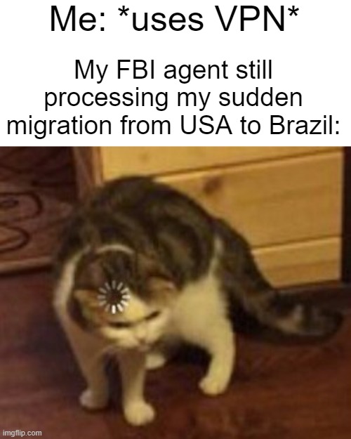 uuhhhmm... |  My FBI agent still processing my sudden migration from USA to Brazil:; Me: *uses VPN* | image tagged in loading cat,vpn | made w/ Imgflip meme maker