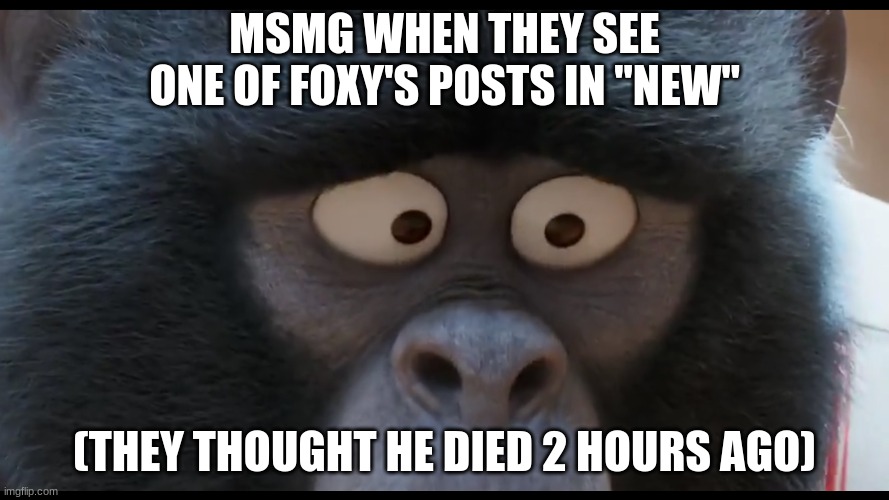 MSMG WHEN THEY SEE ONE OF FOXY'S POSTS IN "NEW"; (THEY THOUGHT HE DIED 2 HOURS AGO) | image tagged in sing 2 johnny stare | made w/ Imgflip meme maker
