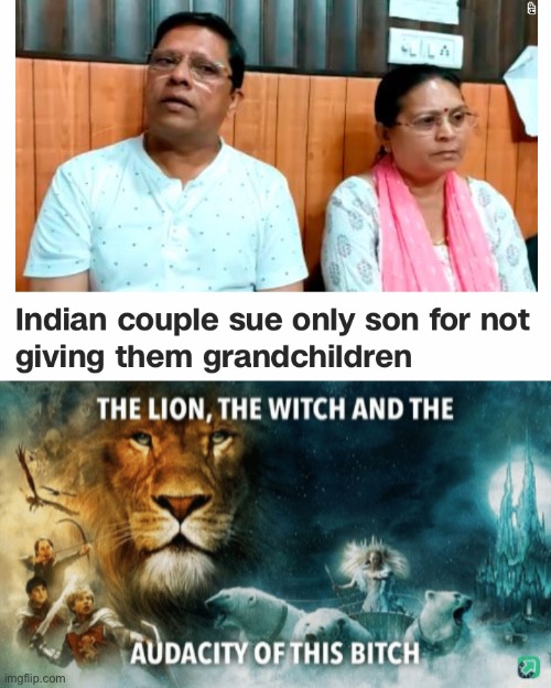 This is taking it to a whole new level | image tagged in the lion the witch and the audacity of this bitch | made w/ Imgflip meme maker