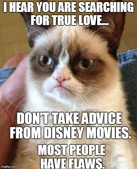Grumpy Cat Meme | I HEAR YOU ARE SEARCHING FOR TRUE LOVE... DON'T TAKE ADVICE FROM DISNEY MOVIES. MOST PEOPLE HAVE FLAWS. | image tagged in memes,grumpy cat | made w/ Imgflip meme maker