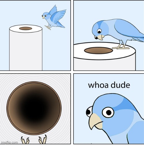 Hole | image tagged in toilet paper,holes,hole,comics/cartoons,comics,comic | made w/ Imgflip meme maker