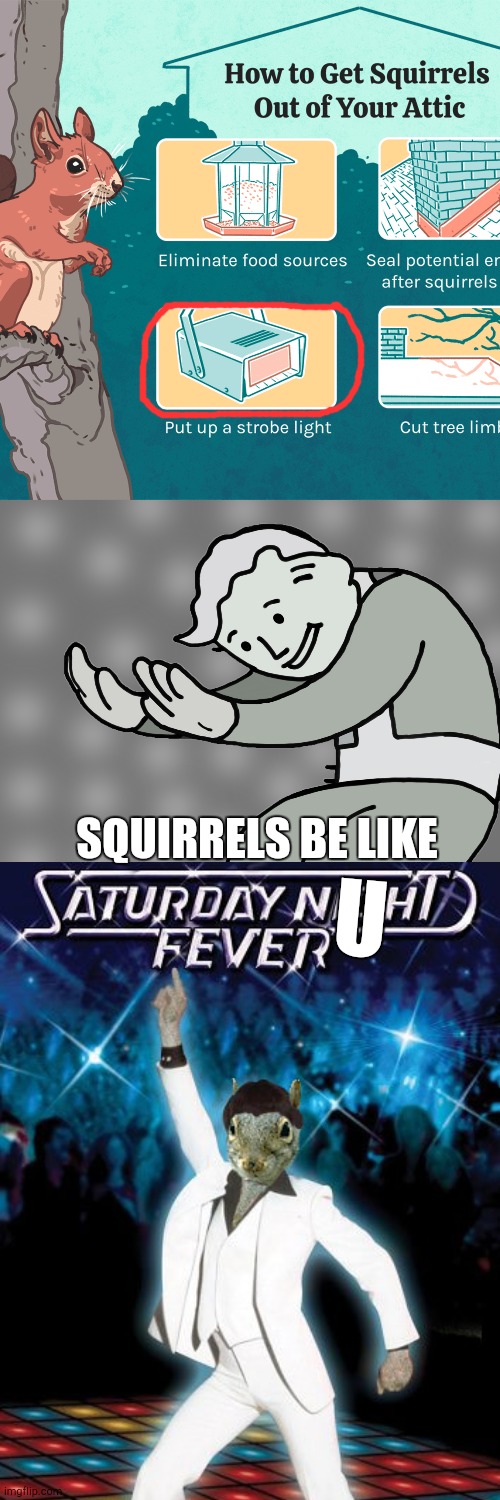 Delirious incredible squirrelicious cute as oh ohh ohh |  SQUIRRELS BE LIKE; U | image tagged in hol up,happy squirrel | made w/ Imgflip meme maker