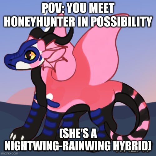 No romance, no joke OCs, no Bambi OCs. This is a WoF RP, but you don't need to know about the prophecies | POV: YOU MEET HONEYHUNTER IN POSSIBILITY; (SHE'S A NIGHTWING-RAINWING HYBRID) | image tagged in wings of fire,dragon | made w/ Imgflip meme maker