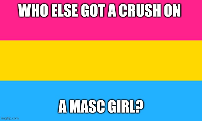 pan flag | WHO ELSE GOT A CRUSH ON; A MASC GIRL? | image tagged in pan flag | made w/ Imgflip meme maker