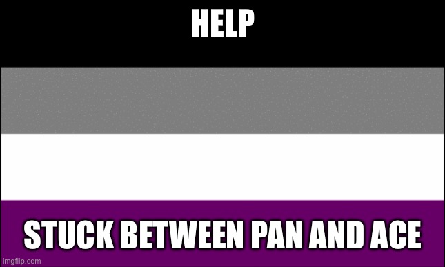 ace flag | HELP; STUCK BETWEEN PAN AND ACE | image tagged in ace flag | made w/ Imgflip meme maker