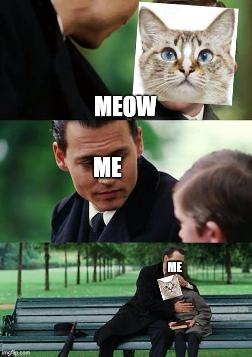 Cats | MEOW; ME; ME | image tagged in memes,cats | made w/ Imgflip meme maker