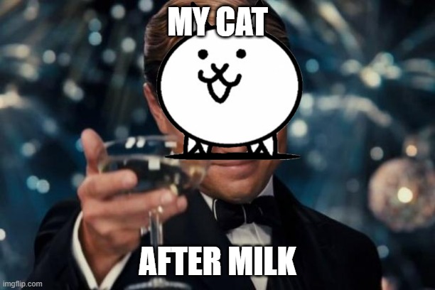 Cat after milk | MY CAT; AFTER MILK | image tagged in memes,leonardo dicaprio cheers,cat,cats,funny cats | made w/ Imgflip meme maker