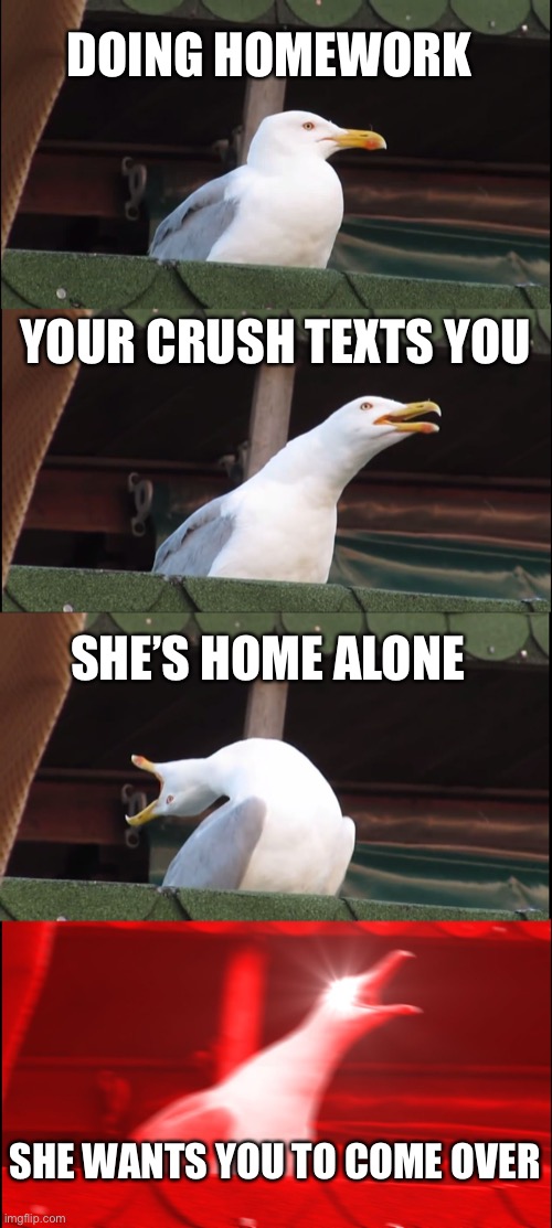 Inhaling Seagull | DOING HOMEWORK; YOUR CRUSH TEXTS YOU; SHE’S HOME ALONE; SHE WANTS YOU TO COME OVER | image tagged in memes,inhaling seagull | made w/ Imgflip meme maker