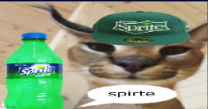 spirte | made w/ Imgflip meme maker