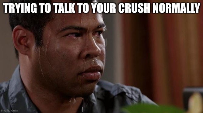 sweating bullets | TRYING TO TALK TO YOUR CRUSH NORMALLY | image tagged in sweating bullets | made w/ Imgflip meme maker