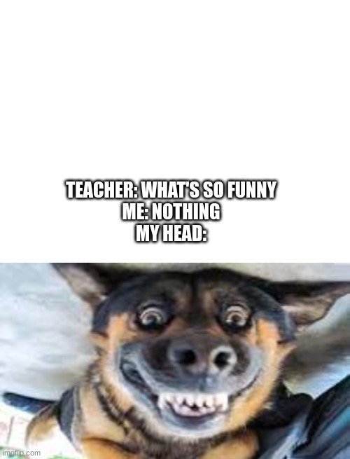 TEACHER: WHAT'S SO FUNNY
ME: NOTHING
MY HEAD: | image tagged in blank white template | made w/ Imgflip meme maker