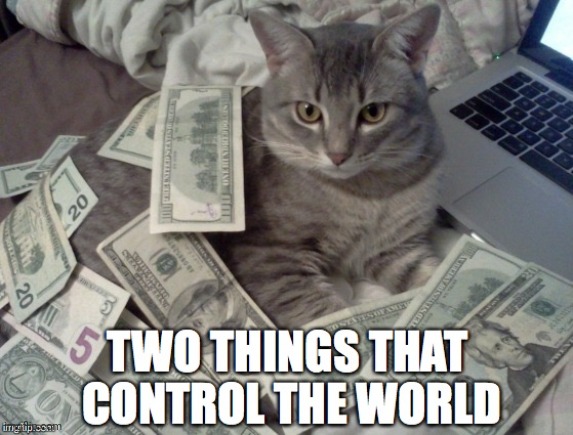 Mine is the center of the universe | image tagged in cat,cash,narcissism | made w/ Imgflip meme maker