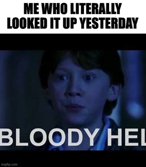 bloody hell ron weasley | ME WHO LITERALLY LOOKED IT UP YESTERDAY | image tagged in bloody hell ron weasley | made w/ Imgflip meme maker