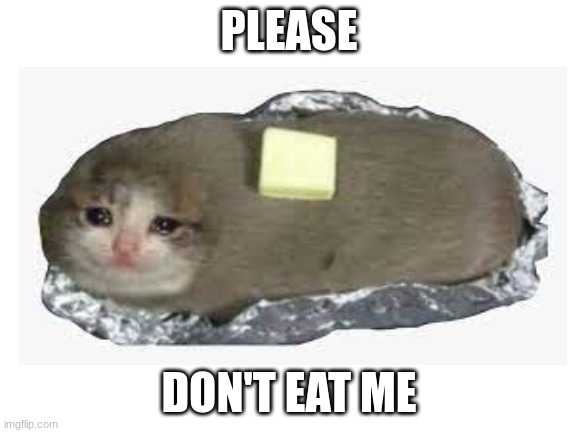 tastyyyy | PLEASE; DON'T EAT ME | image tagged in cats | made w/ Imgflip meme maker