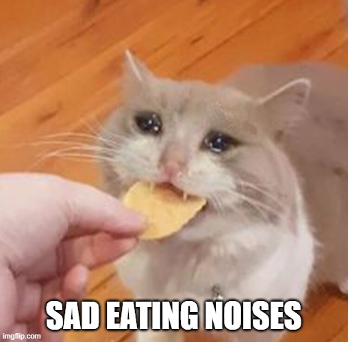 Sad cat eating chip | SAD EATING NOISES | image tagged in sad cat eating chip | made w/ Imgflip meme maker