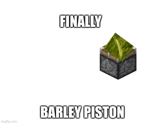 Blank White Template | FINALLY BARLEY PISTON | image tagged in blank white template | made w/ Imgflip meme maker