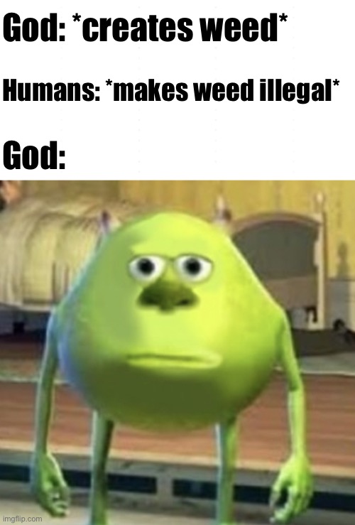 God is good | God: *creates weed*; Humans: *makes weed illegal*; God: | image tagged in fun,god,mike wazowski face swap,funny memes | made w/ Imgflip meme maker