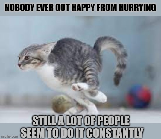 This #lolcat wonders why people always seem to be in a hurry |  NOBODY EVER GOT HAPPY FROM HURRYING; STILL A LOT OF PEOPLE 
SEEM TO DO IT CONSTANTLY | image tagged in hurry up,hurry,lolcat,running,think about it | made w/ Imgflip meme maker