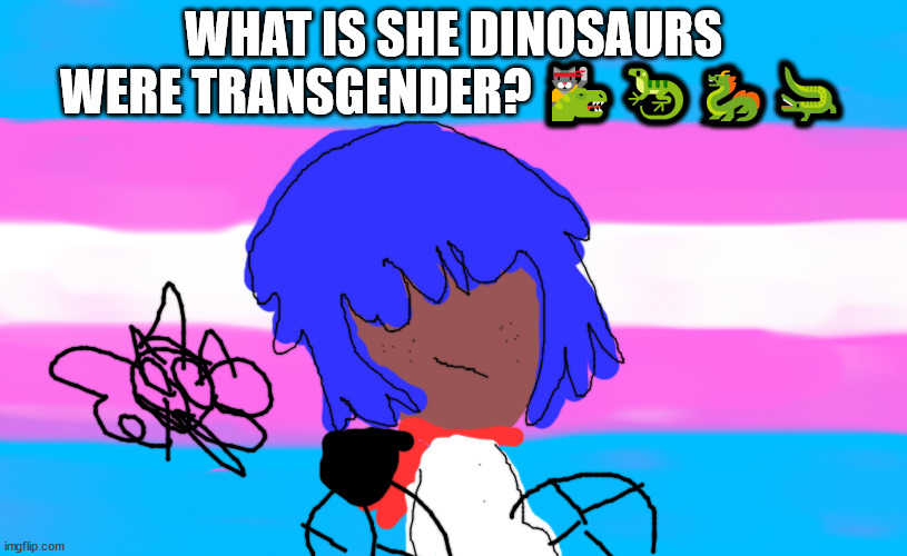 transgender memes | WHAT IS SHE DINOSAURS WERE TRANSGENDER? 🐱‍🐉🦎🐉🐊 | image tagged in transgender | made w/ Imgflip meme maker