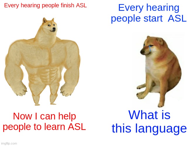 Buff Doge vs. Cheems | Every hearing people finish ASL; Every hearing people start  ASL; Now I can help people to learn ASL; What is this language | image tagged in memes,buff doge vs cheems | made w/ Imgflip meme maker