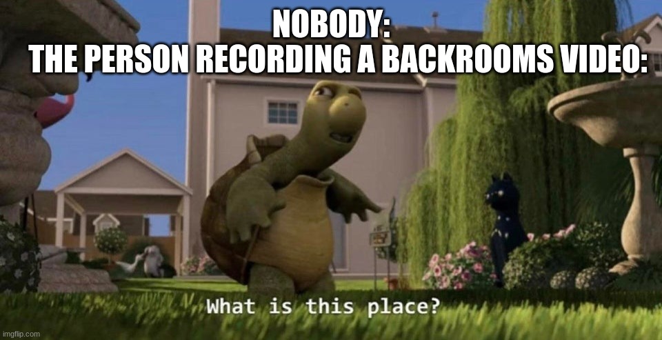 What is this place | NOBODY:; THE PERSON RECORDING A BACKROOMS VIDEO: | image tagged in what is this place | made w/ Imgflip meme maker
