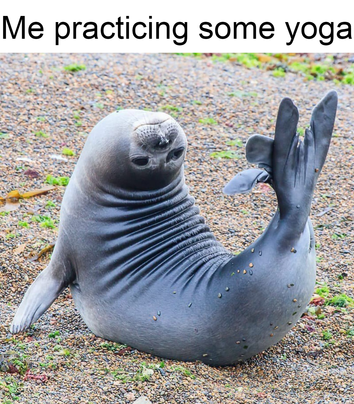  Me practicing some yoga | image tagged in meme,memes,humor | made w/ Imgflip meme maker