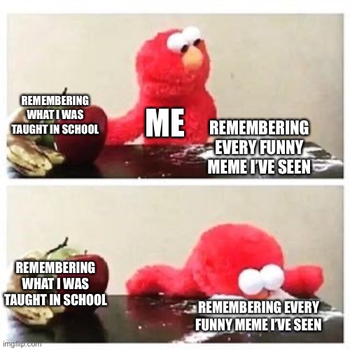 elmo cocaine |  REMEMBERING WHAT I WAS TAUGHT IN SCHOOL; ME; REMEMBERING EVERY FUNNY MEME I’VE SEEN; REMEMBERING WHAT I WAS TAUGHT IN SCHOOL; REMEMBERING EVERY FUNNY MEME I’VE SEEN | image tagged in elmo cocaine | made w/ Imgflip meme maker
