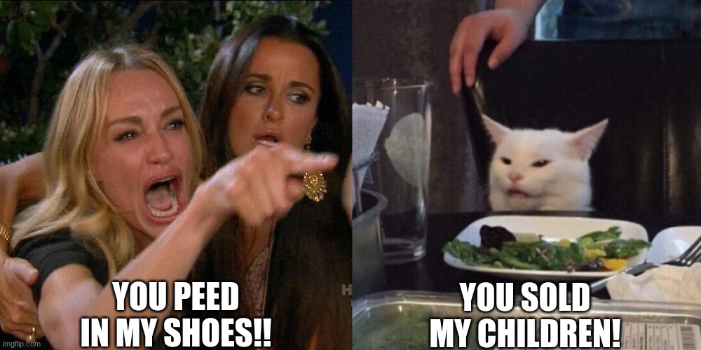 Woman yelling at cat | YOU PEED IN MY SHOES!! YOU SOLD MY CHILDREN! | image tagged in woman yelling at cat | made w/ Imgflip meme maker