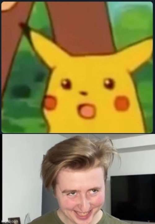 image tagged in surprised pikachu,the face | made w/ Imgflip meme maker