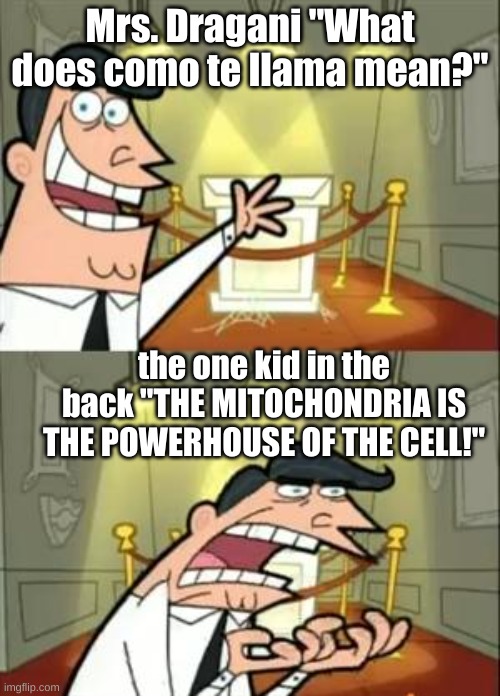 This Is Where I'd Put My Trophy If I Had One Meme | Mrs. Dragani "What does como te llama mean?"; the one kid in the back "THE MITOCHONDRIA IS THE POWERHOUSE OF THE CELL!" | image tagged in memes,this is where i'd put my trophy if i had one | made w/ Imgflip meme maker