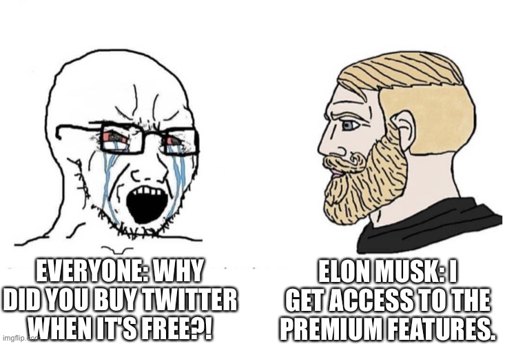 Elon Musk is smarter than you think. | ELON MUSK: I GET ACCESS TO THE PREMIUM FEATURES. EVERYONE: WHY DID YOU BUY TWITTER WHEN IT'S FREE?! | image tagged in soyboy vs yes chad | made w/ Imgflip meme maker