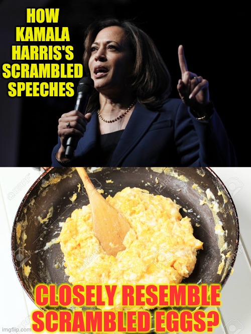 Has Anyone Else Noticed... |  HOW KAMALA HARRIS'S SCRAMBLED SPEECHES; CLOSELY RESEMBLE SCRAMBLED EGGS? | image tagged in scrambled eggs,kamala harris,speech,memes,conservatives,coincidence i think not | made w/ Imgflip meme maker