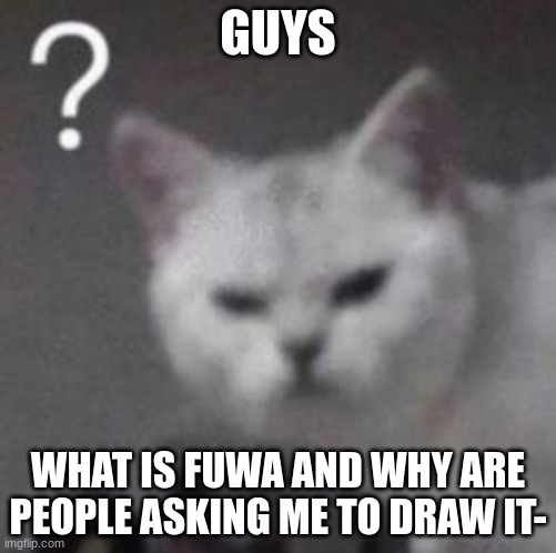 confused cat | GUYS; WHAT IS FUWA AND WHY ARE PEOPLE ASKING ME TO DRAW IT- | image tagged in confused cat | made w/ Imgflip meme maker