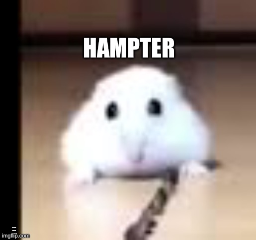 Hampter | HAMPTER; FOR MORE HAMSTER MEMES GO TO XHAMSTER.COM | image tagged in hamster | made w/ Imgflip meme maker