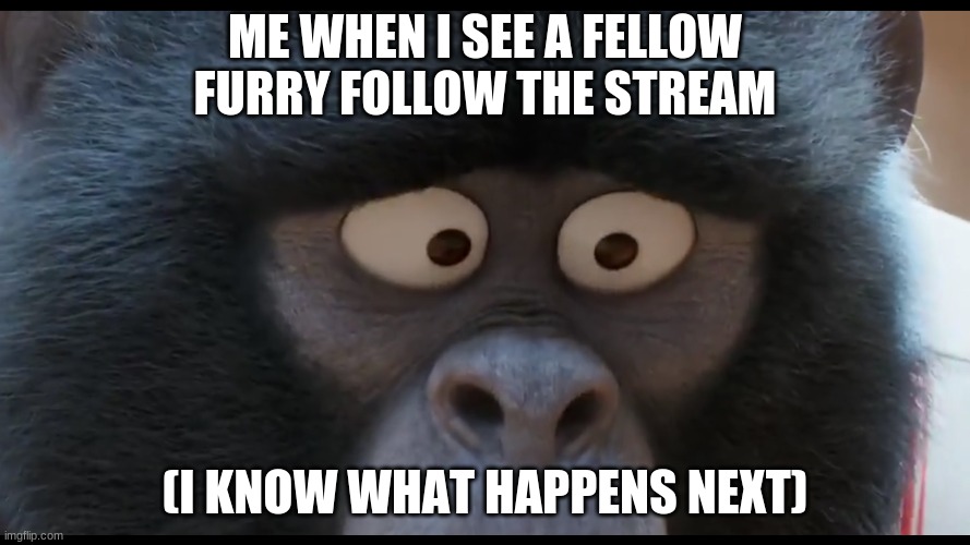 Moss The Ghost, welcome to hell. | ME WHEN I SEE A FELLOW FURRY FOLLOW THE STREAM; (I KNOW WHAT HAPPENS NEXT) | image tagged in sing 2 johnny stare | made w/ Imgflip meme maker