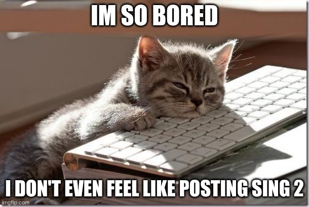 Bored Keyboard Cat | IM SO BORED; I DON'T EVEN FEEL LIKE POSTING SING 2 | image tagged in bored keyboard cat | made w/ Imgflip meme maker