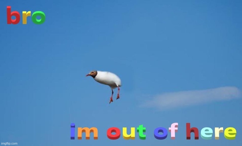 bro im out of here bird | image tagged in bro im out of here bird | made w/ Imgflip meme maker