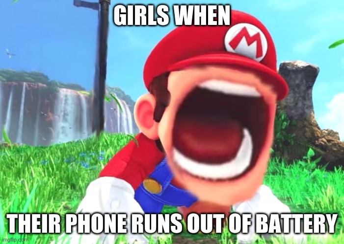 Screaming Mario Lol | GIRLS WHEN; THEIR PHONE RUNS OUT OF BATTERY | image tagged in mario screaming,phones,girls | made w/ Imgflip meme maker