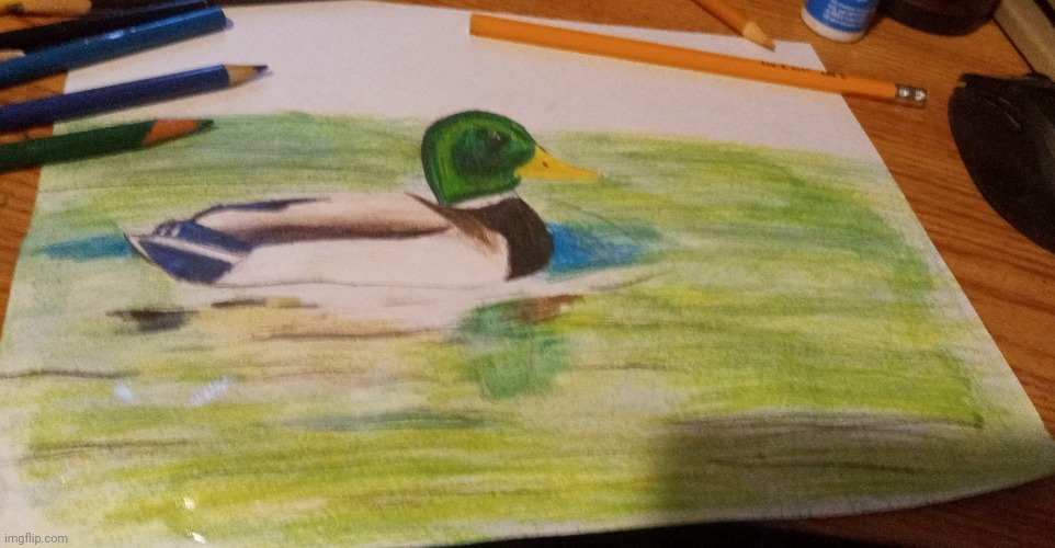 Awful duck drawing | image tagged in jack sparrow being chased | made w/ Imgflip meme maker