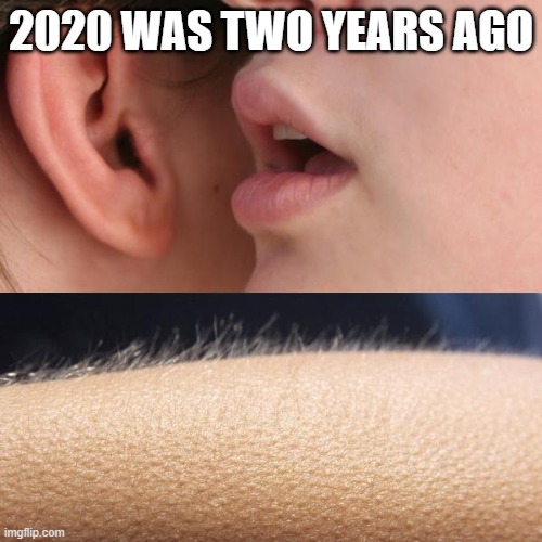 Whisper and Goosebumps |  2020 WAS TWO YEARS AGO | image tagged in whisper and goosebumps | made w/ Imgflip meme maker