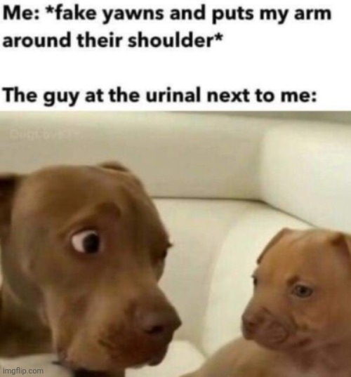 Lol | image tagged in oh no,memes,funny,haha dad go brr | made w/ Imgflip meme maker