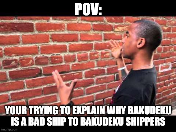 Brick wall guy | POV:; YOUR TRYING TO EXPLAIN WHY BAKUDEKU IS A BAD SHIP TO BAKUDEKU SHIPPERS | image tagged in brick wall guy,my hero academia,bakugo,deku | made w/ Imgflip meme maker