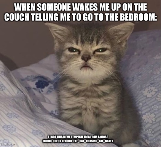 sleepy kitten | WHEN SOMEONE WAKES ME UP ON THE COUCH TELLING ME TO GO TO THE BEDROOM:; ( I GOT THIS MEME TEMPLATE IDEA FROM A CLOSE FRIEND, CHECK HER OUT: FAT_RAT_CHASING_FAT_GNAT ) | image tagged in aww | made w/ Imgflip meme maker