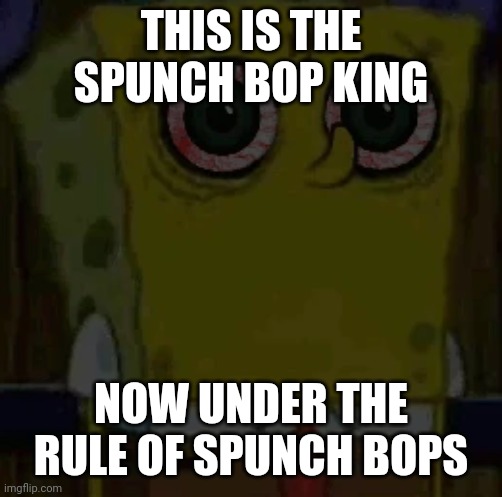 THIS IS THE SPUNCH BOP KING; NOW UNDER THE RULE OF SPUNCH BOPS | image tagged in spongebob bootleg | made w/ Imgflip meme maker