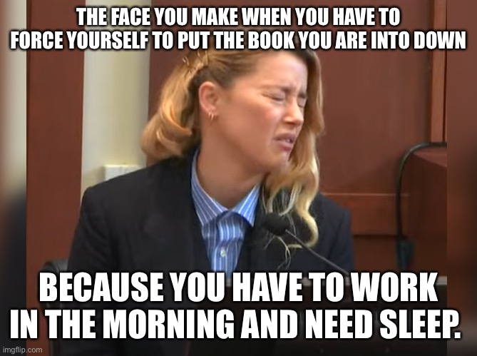 Amber Heard Dog Stepped on a Bee | THE FACE YOU MAKE WHEN YOU HAVE TO FORCE YOURSELF TO PUT THE BOOK YOU ARE INTO DOWN; BECAUSE YOU HAVE TO WORK IN THE MORNING AND NEED SLEEP. | image tagged in amber heard dog stepped on a bee | made w/ Imgflip meme maker