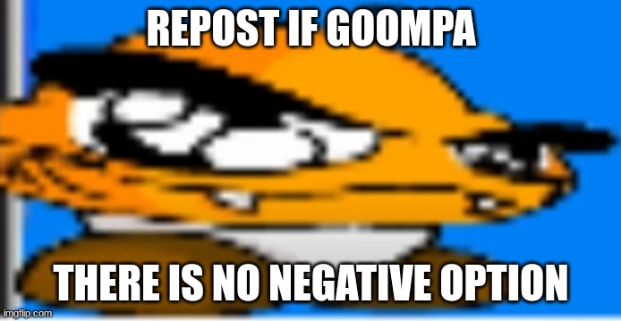 Goompa | REPOST IF GOOMPA; THERE IS NO NEGATIVE OPTION | image tagged in goompa | made w/ Imgflip meme maker