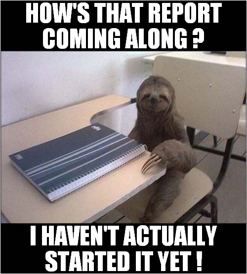 The Office Sloth ! | HOW'S THAT REPORT
COMING ALONG ? I HAVEN'T ACTUALLY STARTED IT YET ! | image tagged in office,sloth,report,slacker | made w/ Imgflip meme maker